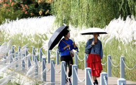 新冠恢復(fù)期應(yīng)注意補充營養(yǎng)避免熬夜縮略圖
