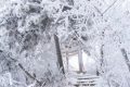陜西降溫、吹風(fēng)來襲 局地降溫可達(dá)10℃縮略圖