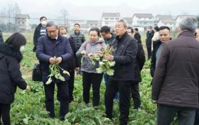漢中這項技術(shù)全國領(lǐng)先！產(chǎn)品在全國14個省市推廣→縮略圖
