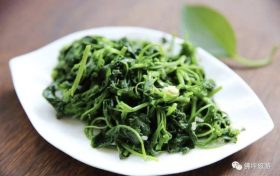 好吃又養(yǎng)生！春天這幾種野菜，每一種都有獨(dú)特的功效！縮略圖