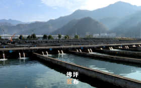 點贊！佛坪這一項目入國家農(nóng)業(yè)標(biāo)準(zhǔn)化示范區(qū)項目→縮略圖