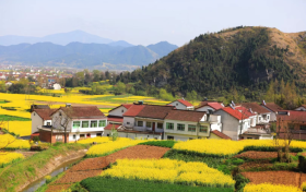 2023中國最美油菜花海漢中旅游文化節(jié)將于3月中旬開幕！縮略圖