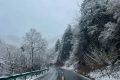 春雪別冬，觸處花開！縮略圖
