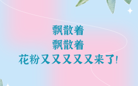 花粉季又又又又又來了，“過敏星人”怎樣度過？縮略圖