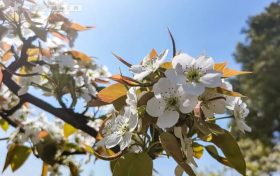 家有過(guò)敏娃家長(zhǎng)怎么辦？?jī)嚎茖?zhuān)家支招縮略圖