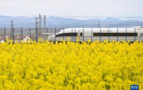 為期半年！即日起陜西將開展全省旅游市場價格專項檢查縮略圖