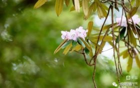 春游前，這份急救指南請(qǐng)先收好！縮略圖