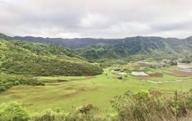 夏天來(lái)了，起居、飲食、運(yùn)動(dòng)有講究縮略圖