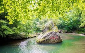 @高考生及家長(zhǎng) 志愿填報(bào)別太迷信“指導(dǎo)”縮略圖