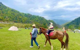 留壩避暑游持續(xù)升溫，帶火了“夏日經(jīng)濟”縮略圖