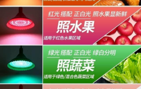 生鮮燈，12月1日起將禁止使用縮略圖