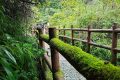 “自媒體”13條管理規(guī)定：低俗人設(shè)、違背公序良俗網(wǎng)紅不得賦予營(yíng)利權(quán)限縮略圖