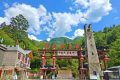 福利！寧強居民每周三免景區(qū)門票縮略圖