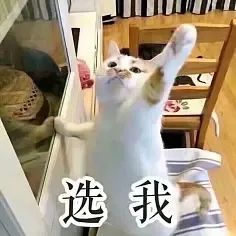 快來(lái)隨手拍城固，贏2000元大獎(jiǎng)！