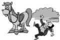 騎馬游玩致游客摔傷，誰來擔(dān)責(zé)？縮略圖