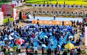 慶豐收，促和美 | 略陽(yáng)縣第六屆中國(guó)農(nóng)民豐收節(jié)開(kāi)幕縮略圖