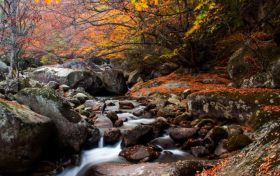 預(yù)計(jì)未來(lái)三天陜西為陰雨天氣 局地會(huì)出現(xiàn)大雨縮略圖