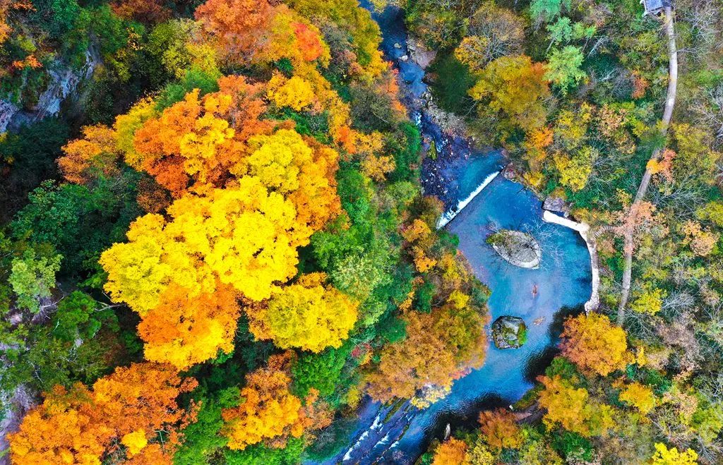 重磅！漢中這家4A景區(qū)全民免門票！
