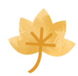 又是一年彩林季，漢江源彩林搶先看~