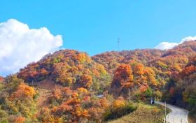又是一年彩林季，漢江源彩林搶先看~縮略圖