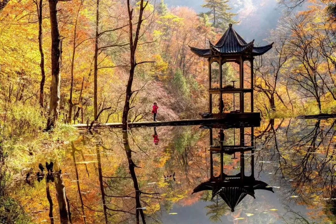 10月1日，漢中黎坪景區(qū)秋高氣爽、景色秀美，還不擁擠，趕緊出發(fā)嘍！
