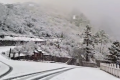 就在今天，陜西太白山又下雪了！縮略圖