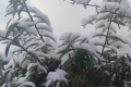 強(qiáng)風(fēng)雨天氣來襲，24日正式進(jìn)入霜降節(jié)氣縮略圖