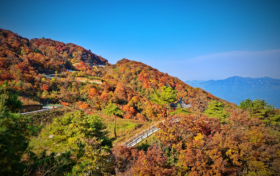 已經(jīng)紅了，快來漢江源看彩林！縮略圖