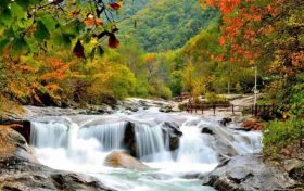 一路風(fēng)景美如畫(huà)！佛坪最美自駕賞秋路線來(lái)咯→縮略圖