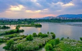 喜報！南鄭再添“國字號”招牌，成為全國示范！縮略圖