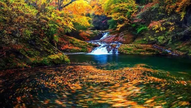 10月1日，漢中黎坪景區(qū)秋高氣爽、景色秀美，還不擁擠，趕緊出發(fā)嘍！