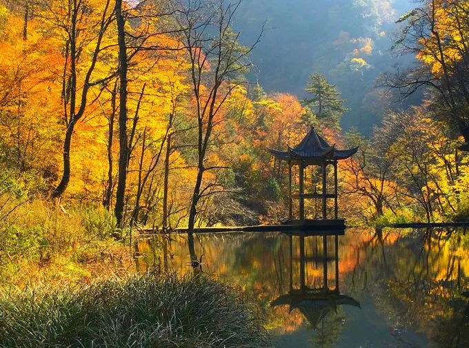 重磅！漢中這家4A景區(qū)全民免門票！