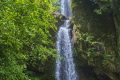 大霧黃色預(yù)警！漢中這些地方能見度低→縮略圖