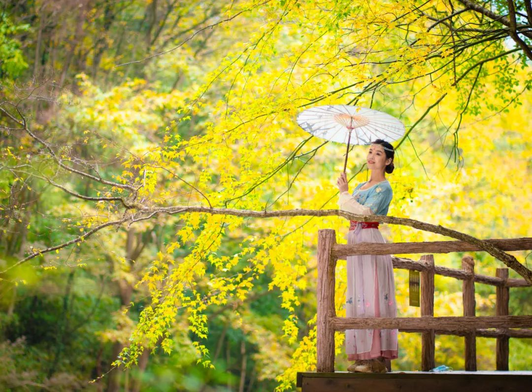 10月1日，漢中黎坪景區(qū)秋高氣爽、景色秀美，還不擁擠，趕緊出發(fā)嘍！