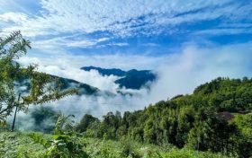 鎮(zhèn)巴最新出游打卡地，讓你心動(dòng)又驚喜!縮略圖