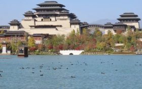 連續(xù)三年在興漢勝境漢源湖過(guò)冬的“野鴨”們又飛來(lái)了！！縮略圖