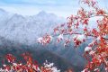 天冷不穿秋褲會(huì)凍出關(guān)節(jié)炎？醫(yī)生：關(guān)節(jié)炎不是“凍”出來(lái)的但秋褲該穿還得穿縮略圖