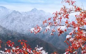 天冷不穿秋褲會(huì)凍出關(guān)節(jié)炎？醫(yī)生：關(guān)節(jié)炎不是“凍”出來(lái)的但秋褲該穿還得穿縮略圖