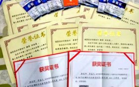 優(yōu)秀！城固縣兩名學(xué)生喜獲世界機(jī)器人大賽國賽二等獎(jiǎng) →縮略圖