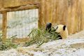 漢中多地下雪了，陜西氣象最新發(fā)布→縮略圖