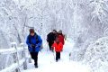 隨著冷空氣的抵達，陜西迎來一份雨雪、降溫、吹風(fēng)天氣過程縮略圖