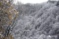 雨雪天氣今晚就到！安全防御指南請收好→縮略圖