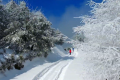 一場浪漫冬雪，讓鎮(zhèn)巴美出圈！縮略圖