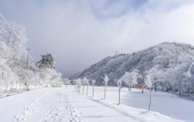 天冷了，吃點(diǎn)啥有助抗寒？縮略圖