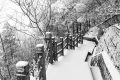 冷?冷?冷?，最低零下 6 ℃ ，漢臺迎來新一輪降溫降雪，詳情→縮略圖