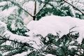 漢中，下雪啦！縮略圖