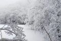 漢江源冰雪季 | 賞雪、嬉雪、看冰瀑，邂逅冬日的浪漫縮略圖