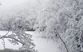 局地積雪可達(dá)10cm！冰雪路面如何安全行車？縮略圖