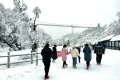 太美啦！漢江源景區(qū)下雪啦！滑雪場(chǎng)也即將開(kāi)放！縮略圖