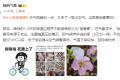 注意！陜西新一輪雨雪天氣要來了！縮略圖